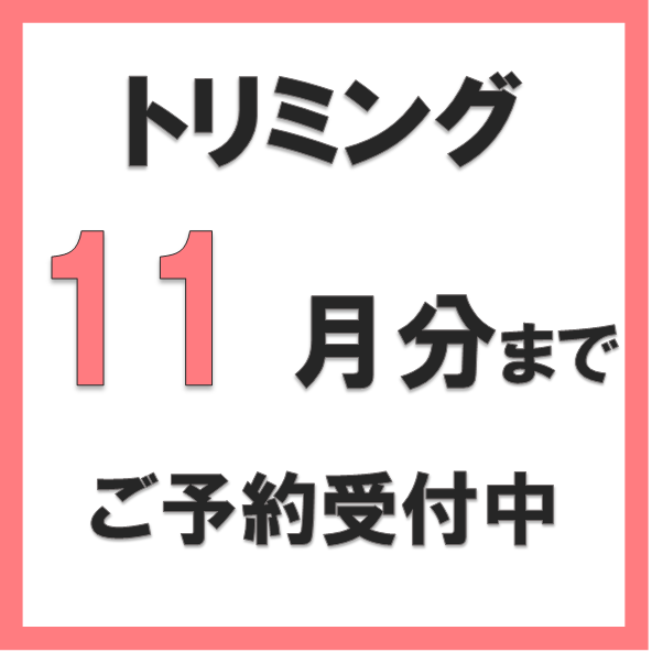トリミングのご予約受付