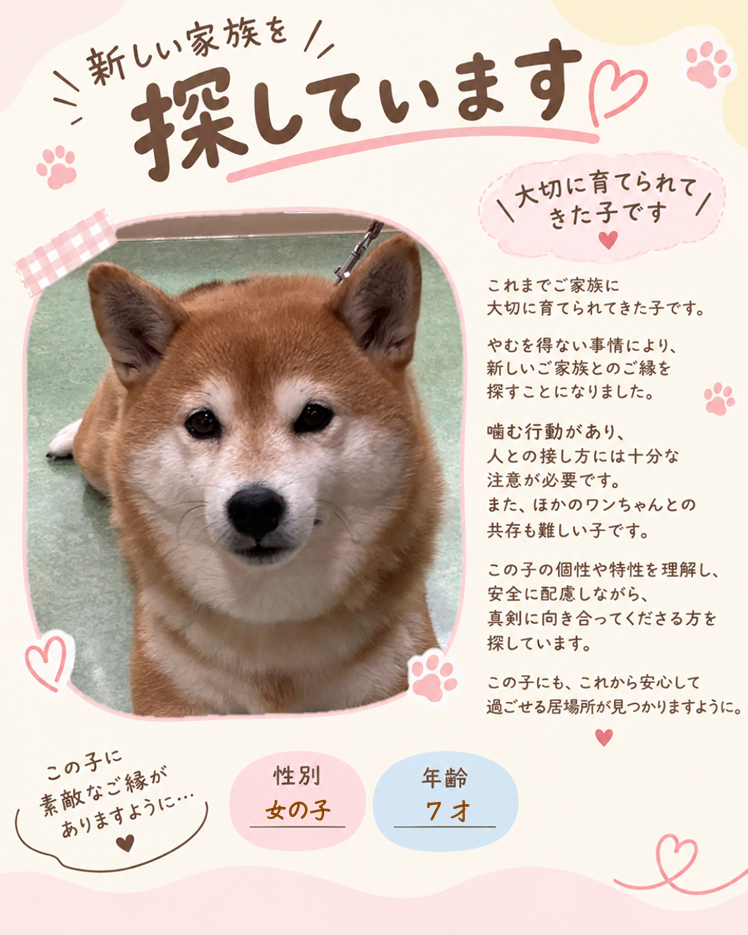☆ 里 親 募 集 中 ☆